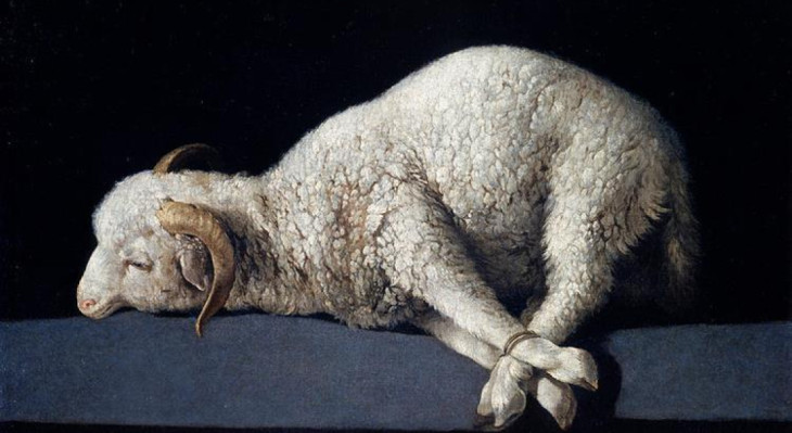 18 Stycznia - ogłoszenia